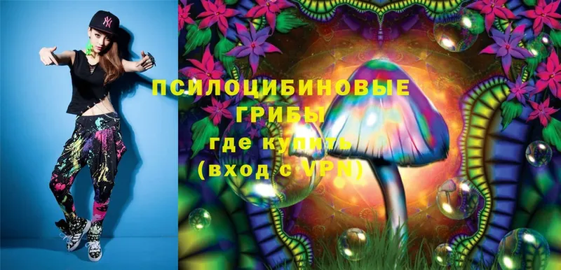 omg   Бодайбо  Галлюциногенные грибы MAGIC MUSHROOMS 